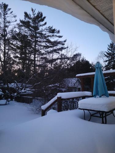 Cozy 2 bedroom ice fishing&skiing in Georgina (ON)