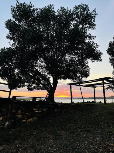 Rancho Canastra Santo Antonio in Delfinopolisa