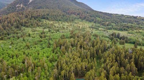 Pinecone Cabin - image 9
