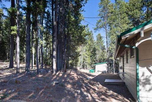 Pinecone Cabin - image 2
