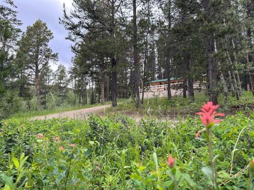 Pinecone Cabin - image 3
