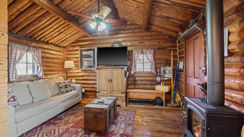 Wild Bill's Cabin with Hot Tub by AAA Red Lodge Rentals - image 10