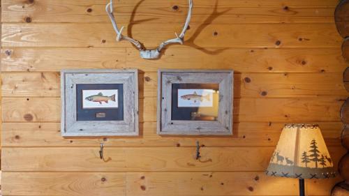 Wild Bills Cabin - image 7