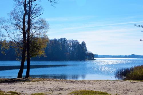 Žuvienės Pašiūrė Žuvienės Pašiūrė