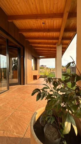 Patagonia