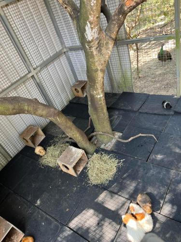 拇指園民宿 - Hsinchu