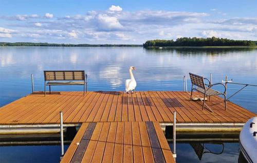Aktivitātes, Gorgeous Apartment In Orzysz With Sauna in Okragle