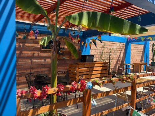 Raymi House Hostel in 아리카 시티 센터