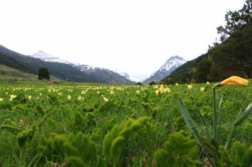 德尔塔特露台公寓酒店 德尔塔特露台公寓酒店