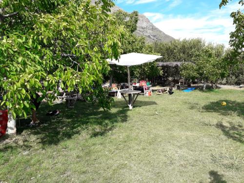 Dārzs, Agro Camping Los Costeños (Agro Camping Los Costenos) in Salamanca