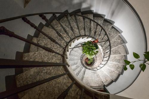 Casa De' Fiori - image 2