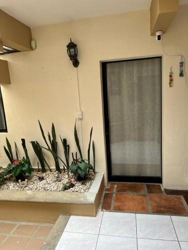Lotus apartment - image 5