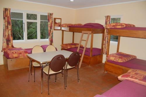 Bed in 10-Bed Mixed Dormitory Room