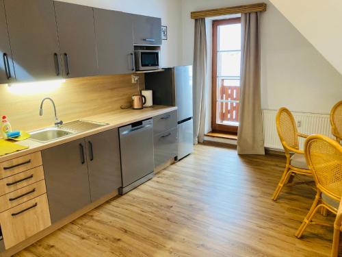 Apartma a Studia Dolni Namesti in Rokitņica nad Jizerou