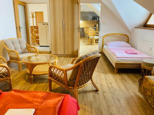 Apartma a Studia Dolni Namesti in Rokitņica nad Jizerou