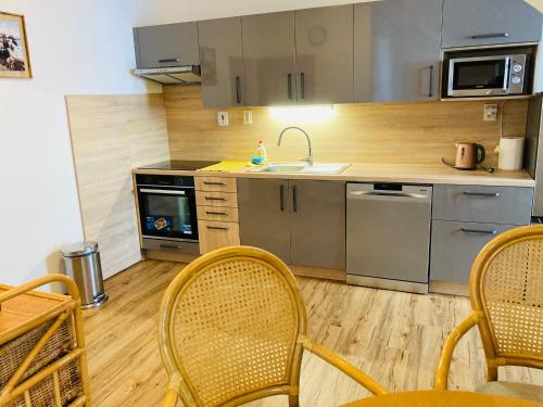 Apartma a Studia Dolni Namesti in Rokitņica nad Jizerou