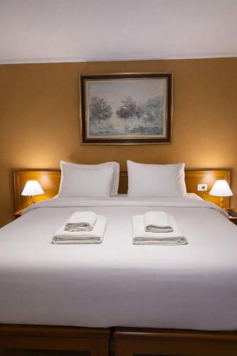 Arber Hotel, Tirana (photo 5)