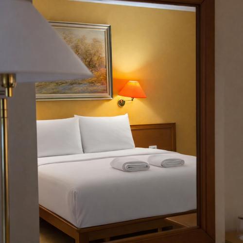 Arber Hotel, Tirana (photo 6)