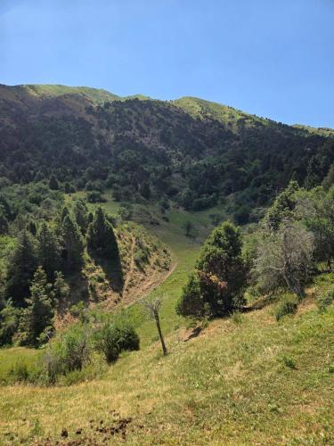 Orzu Eko Mountain Retreat in Chirchik