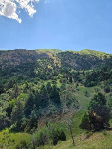 Orzu Eko Mountain Retreat in Chirchik