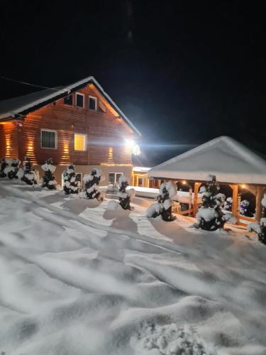 Šumska vila Gašić