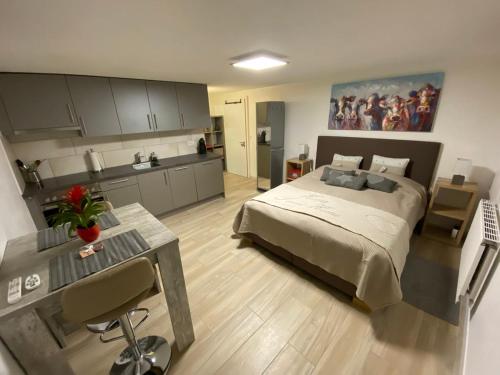 Magnifique studio en-dessus de Martigny in Martigny-Combe