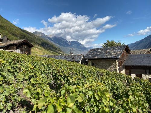 Magnifique studio en-dessus de Martigny in Martigny-Combe