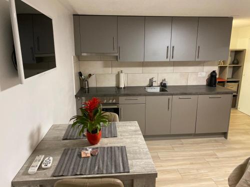 Magnifique studio en-dessus de Martigny in Martigny-Combe