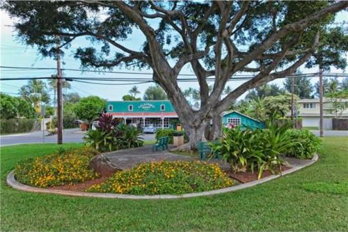 Relax at Kapakai Cottage 2-Bedroom Comfort with Full Kitchen & WD in 凱盧阿