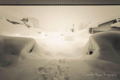 Morino Lodge - Myoko