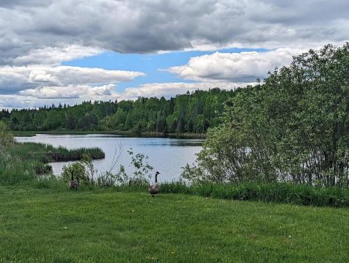 Sleep peacefully at Zia's Place in Kirkland Lake (ON)