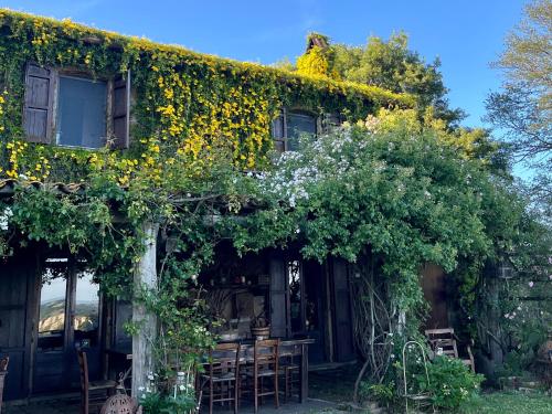 Viesnīcas āriene, Bed And Breakfast Dopo Il Settimo Cielo in Lubriano