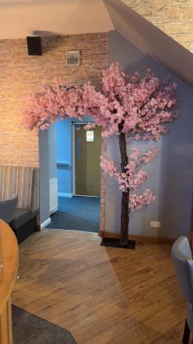 The courtyard bar, kitchen, rooms in Фолкірк
