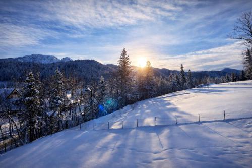 Willa Zielone Wzgórze - Zakopane - Luksusowe apartamenty, Zakopane (photo 7)
