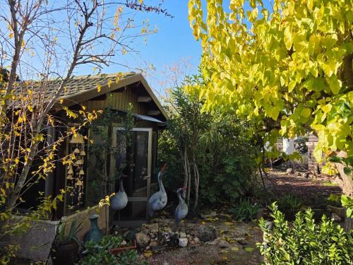 Among the cherry trees B&B 6 - Nahal Dan in Metula
