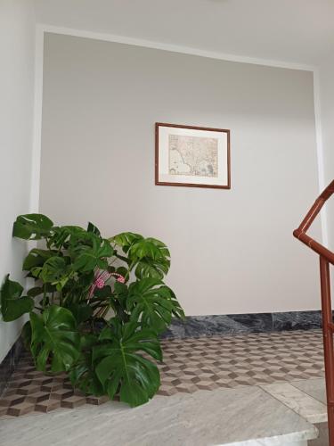 Livornine B&B in Livorno