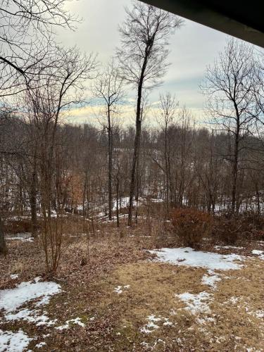 Modern Country Retreat, 3BR, Fiber Wi-Fi in Holcomb (MI)