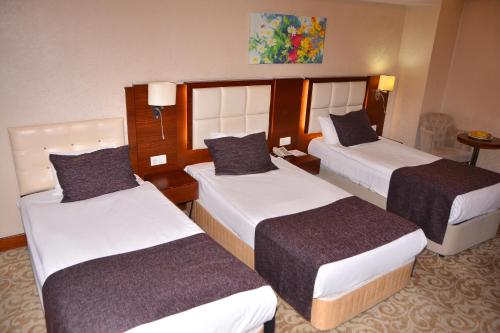 Asrin Business Hotel Kızılay Room Type - Triple Room