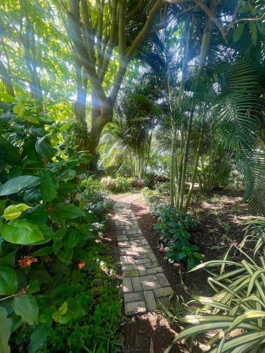 Lush Garden Chalet in Амасаман