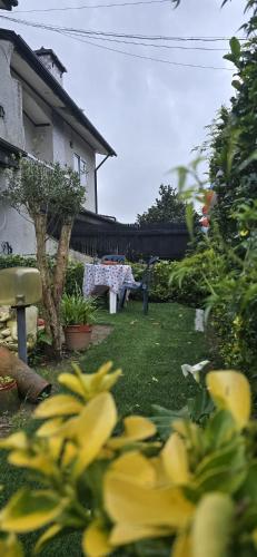 สวน, Moradia Belo horizonte in วาลองโก