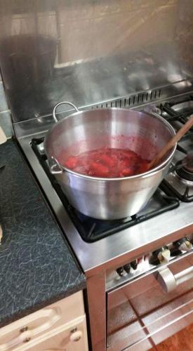 The Trelinda Guest House - image 9