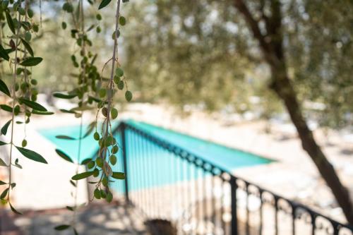 Villa Roba degli Ulivi gîte à louer Montaperto