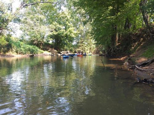 Peaceful Cabin on Rough River in Clarkson (KY)