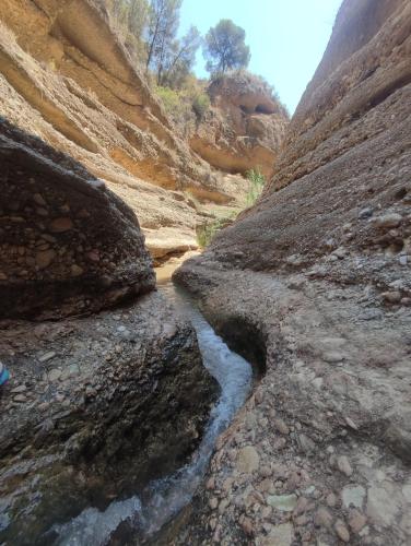 Cueva Los Aviones, Río Chícamo (Cueva Los Aviones, Rio Chicamo) in Macisvenda