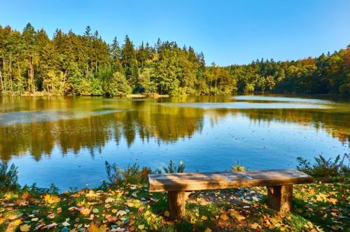 Skats, Jevany Four Bedroom Luxury Villa by the Lake with Infrasauna and Grill in Jevany