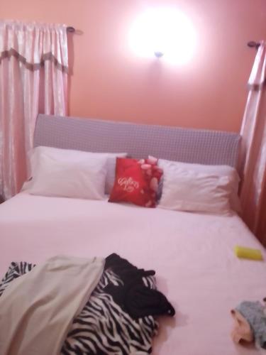 Carol Resident in 弗里曼斯村