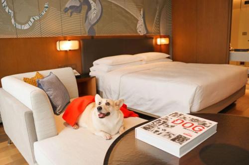 1 king bed