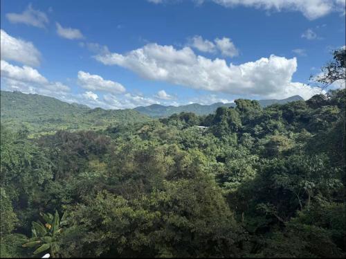 Tropical Paradise in Utuado