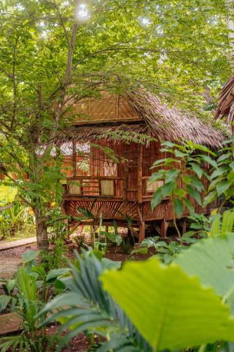 A szálláshely kívülről, Wonderland in Siquijor Island