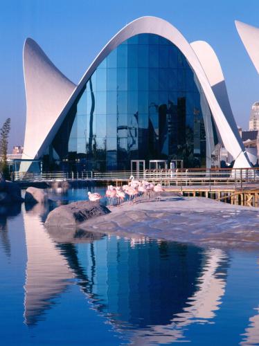 Ibis Budget Valencia Aeropuerto - image 3